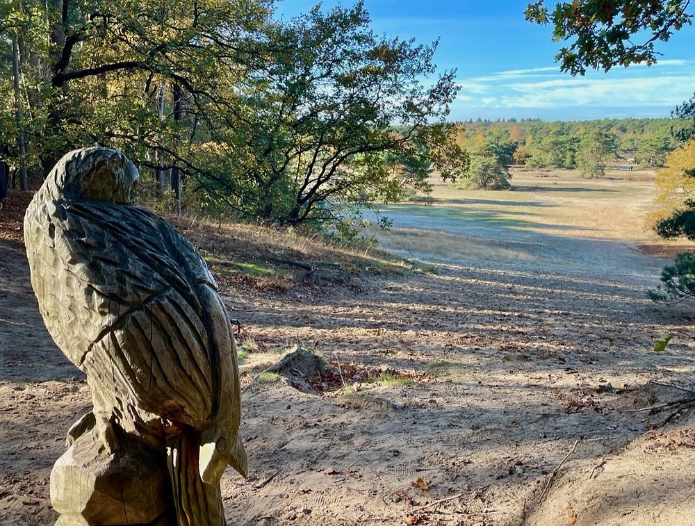 Klompenpad Eeskooterpad